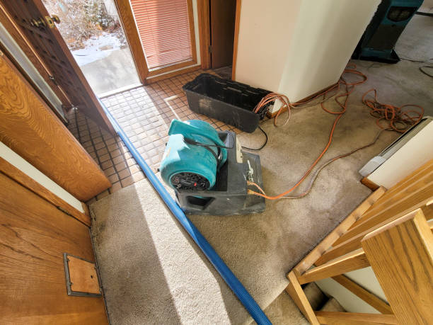 Best Water damage restoration near me  in Albany, OR