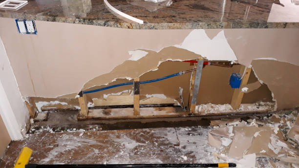 Best Flooded house restoration  in Albany, OR