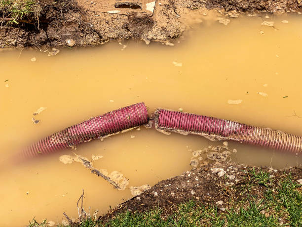 Professional Water damage restoration in Albany, OR