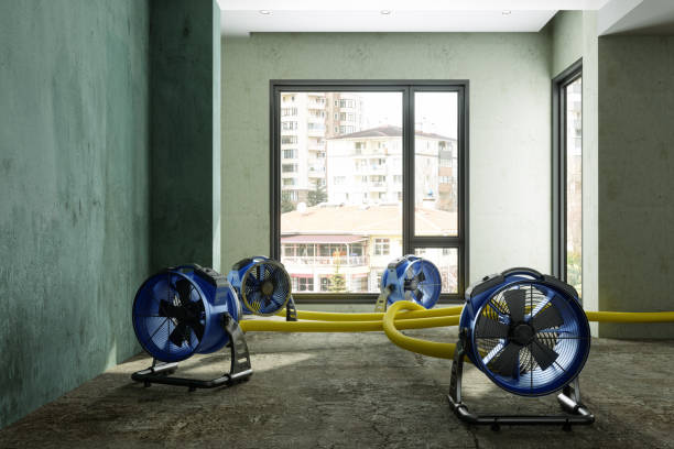 Best Water damage restoration process  in Albany, OR